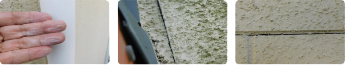 イメージ画像02