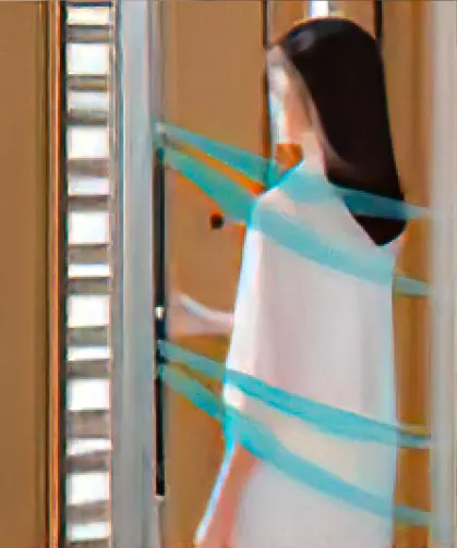 LIXIL ⽞関ドア リシェント イメージ画像02