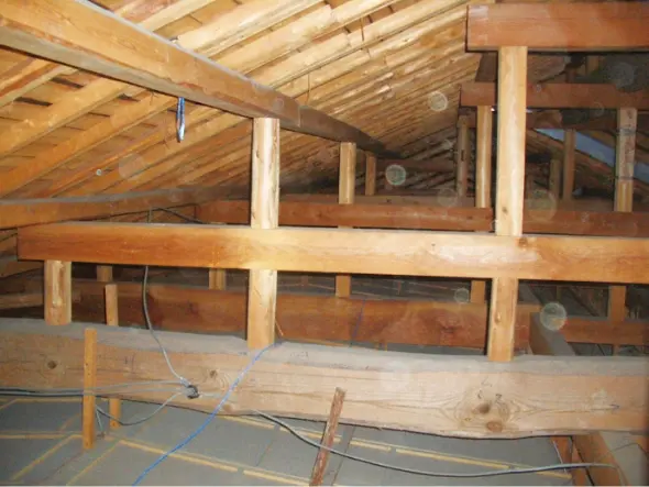 イメージ画像 屋根裏調査